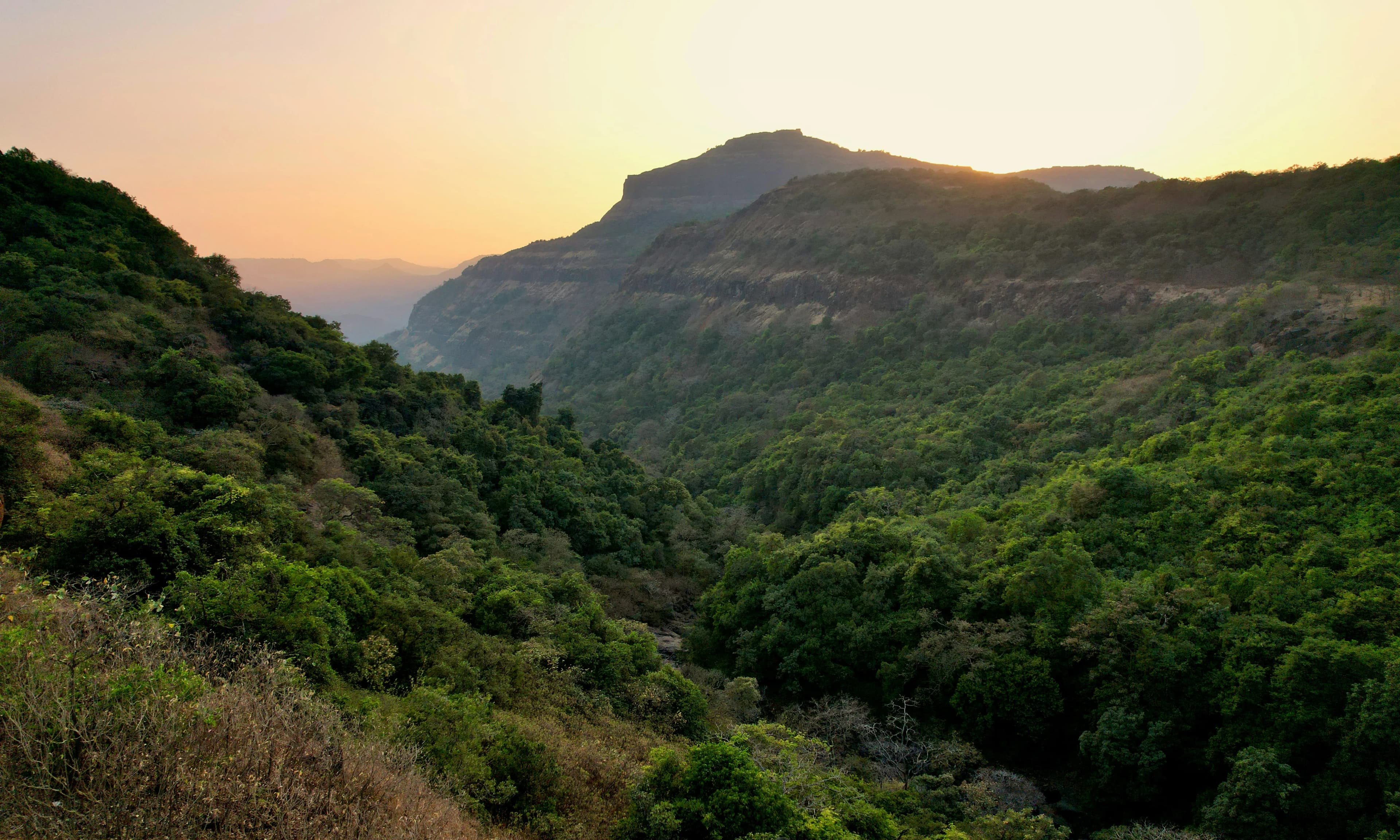 Trekking at Harihar Fort in Maharashtra – Off Route Adventure