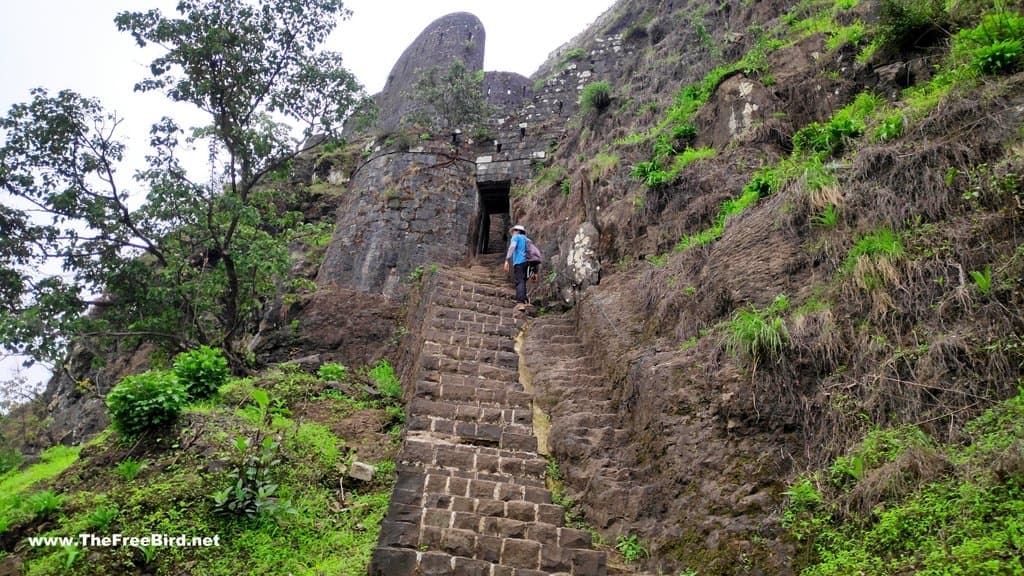 Tikona Fort Trek – Adventure in Maharashtra | Off Route Adventure